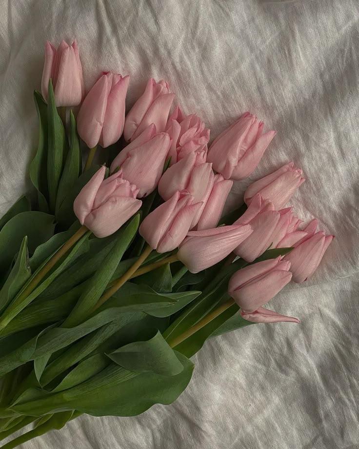 Secret Garden Whispers: Vibrant Blossom Array